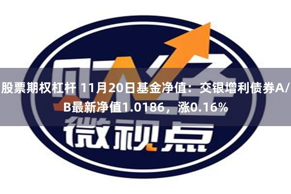 股票期权杠杆 11月20日基金净值：交银增利债券A/B最新净值1.0186，涨0.16%