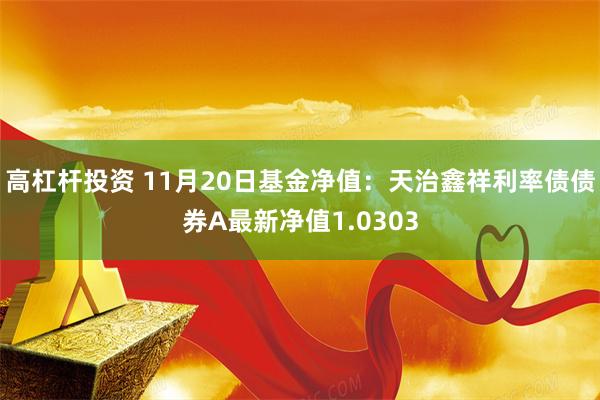 高杠杆投资 11月20日基金净值：天治鑫祥利率债债券A最新净值1.0303