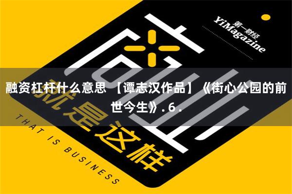 融资杠杆什么意思 【谭志汉作品】《街心公园的前世今生》.６.