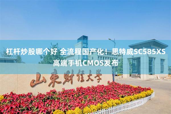 杠杆炒股哪个好 全流程国产化！思特威SC585XS高端手机CMOS发布