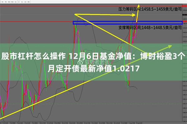 股市杠杆怎么操作 12月6日基金净值：博时裕盈3个月定开债最新净值1.0217