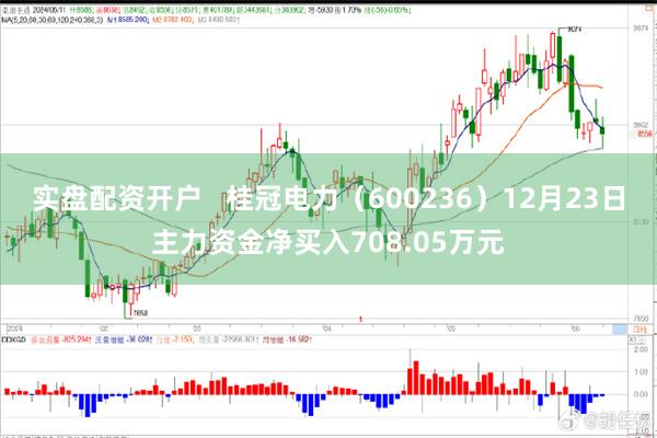 实盘配资开户   桂冠电力（600236）12月23日主力资金净买入708.05万元