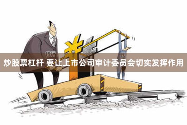 炒股票杠杆 要让上市公司审计委员会切实发挥作用