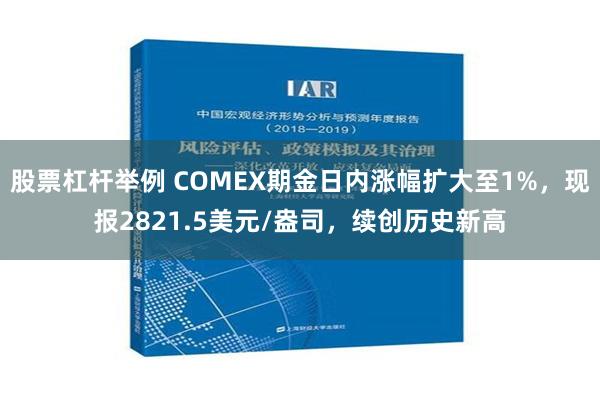 股票杠杆举例 COMEX期金日内涨幅扩大至1%，现报2821.5美元/盎司，续创历史新高