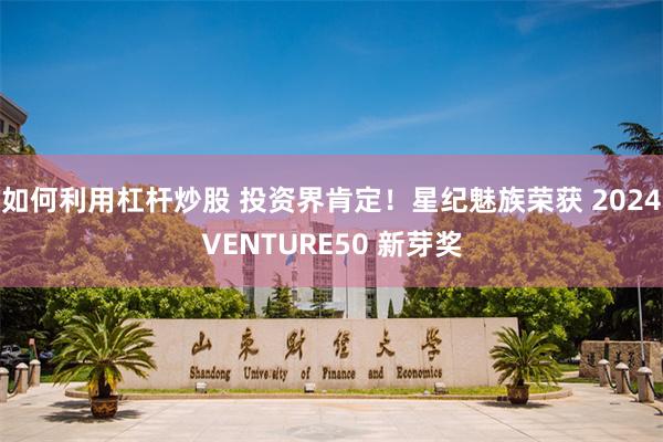 如何利用杠杆炒股 投资界肯定！星纪魅族荣获 2024VENTURE50 新芽奖