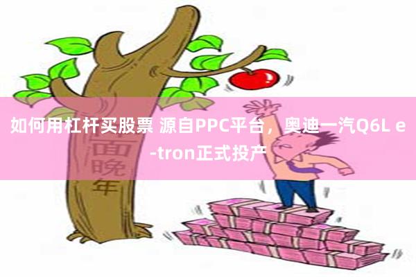 如何用杠杆买股票 源自PPC平台，奥迪一汽Q6L e-tron正式投产